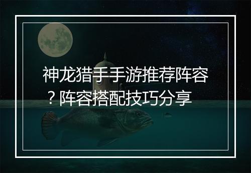 神龙猎手手游推荐阵容?阵容搭配技巧分享
