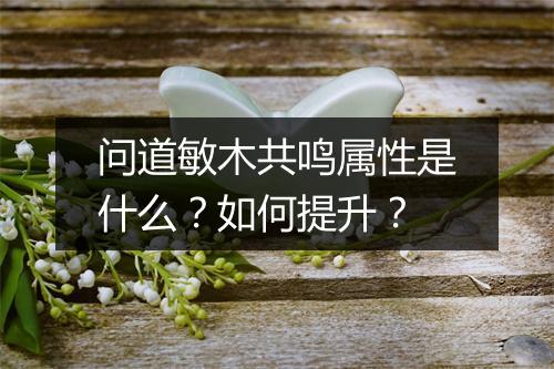 问道敏木共鸣属性是什么？如何提升？