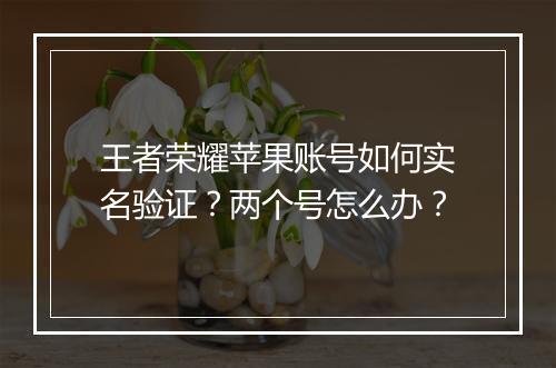 王者荣耀苹果账号如何实名验证？两个号怎么办？