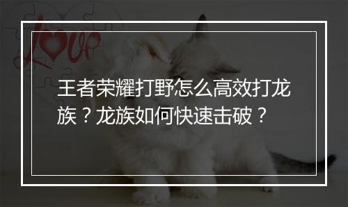 王者荣耀打野怎么高效打龙族？龙族如何快速击破？