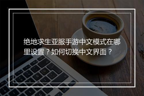 绝地求生亚服手游中文模式在哪里设置？如何切换中文界面？
