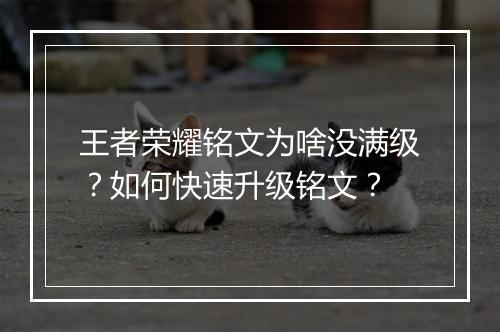 王者荣耀铭文为啥没满级?如何快速升级铭文?