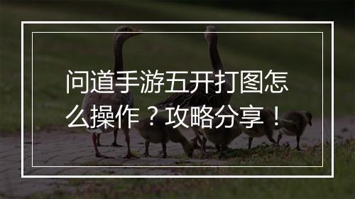 问道手游五开打图怎么操作？攻略分享！