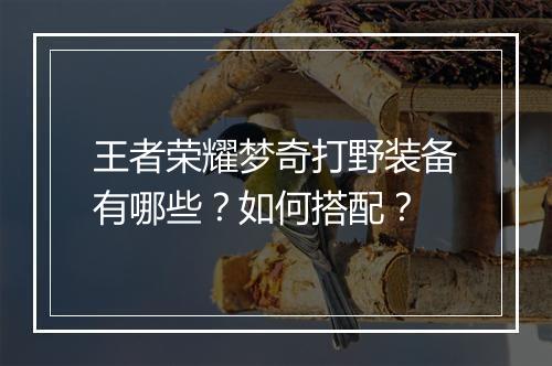 王者荣耀梦奇打野装备有哪些？如何搭配？