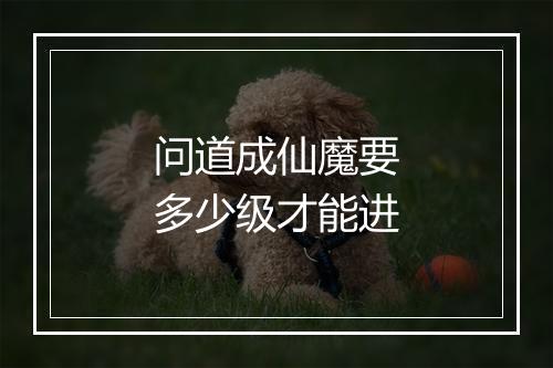 问道成仙魔要多少级才能进