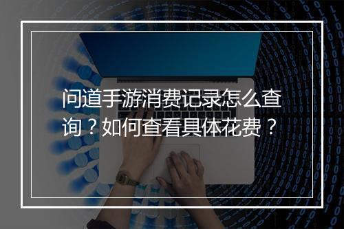 问道手游消费记录怎么查询？如何查看具体花费？