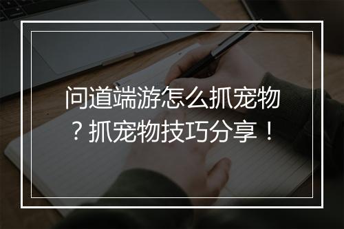问道端游怎么抓宠物?抓宠物技巧分享!