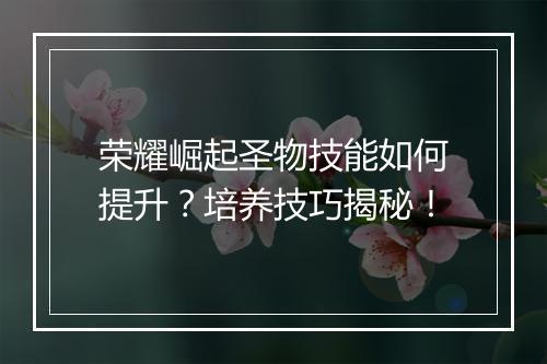荣耀崛起圣物技能如何提升？培养技巧揭秘！