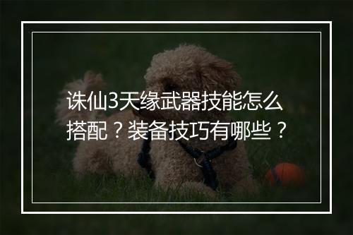诛仙3天缘武器技能怎么搭配？装备技巧有哪些？