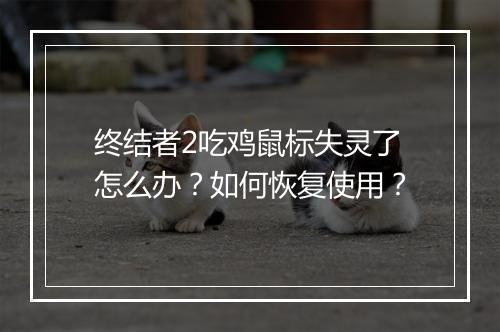 终结者2吃鸡鼠标失灵了怎么办？如何恢复使用？