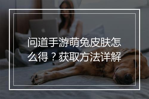 问道手游萌兔皮肤怎么得?获取方法详解