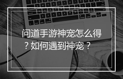问道手游神宠怎么得？如何遇到神宠？