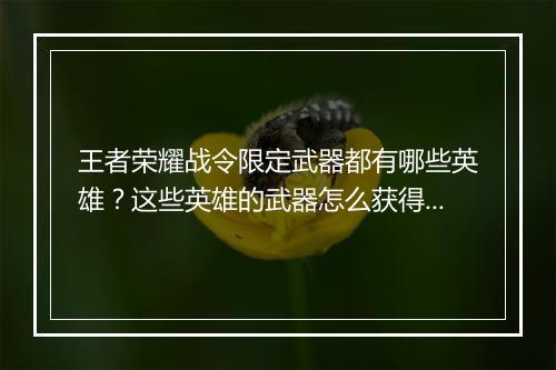 王者荣耀战令限定武器都有哪些英雄？这些英雄的武器怎么获得？
