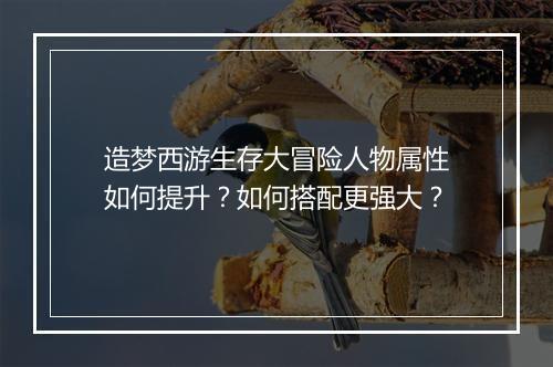 造梦西游生存大冒险人物属性如何提升？如何搭配更强大？