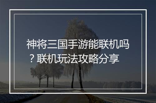 神将三国手游能联机吗？联机玩法攻略分享