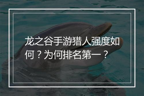 龙之谷手游猎人强度如何？为何排名第一？