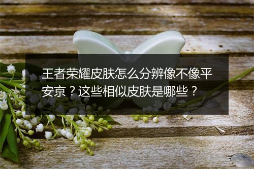 王者荣耀皮肤怎么分辨像不像平安京?这些相似皮肤是哪些?
