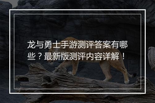 龙与勇士手游测评答案有哪些？最新版测评内容详解！