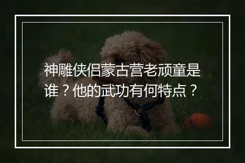 神雕侠侣蒙古营老顽童是谁?他的武功有何特点?