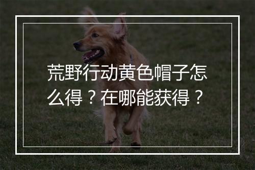 荒野行动黄色帽子怎么得?在哪能获得?