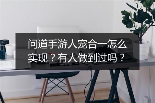 问道手游人宠合一怎么实现？有人做到过吗？