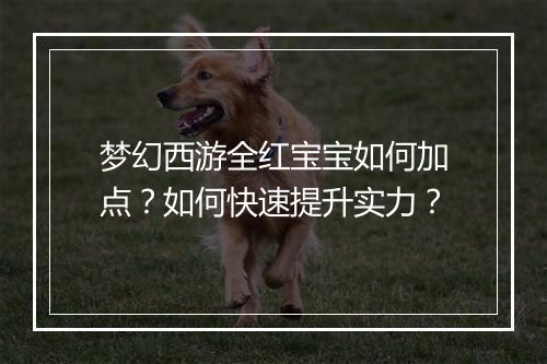 梦幻西游全红宝宝如何加点？如何快速提升实力？