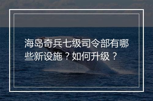 海岛奇兵七级司令部有哪些新设施？如何升级？