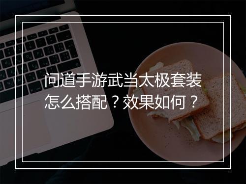 问道手游武当太极套装怎么搭配？效果如何？