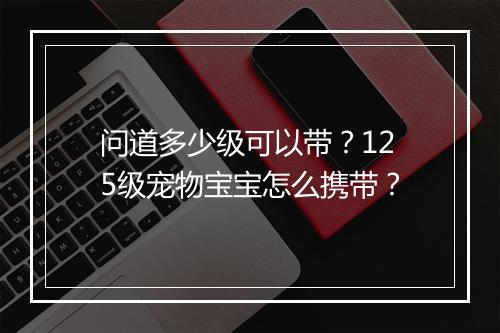 问道多少级可以带?125级宠物宝宝怎么携带?