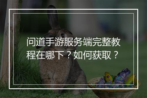 问道手游服务端完整教程在哪下？如何获取？
