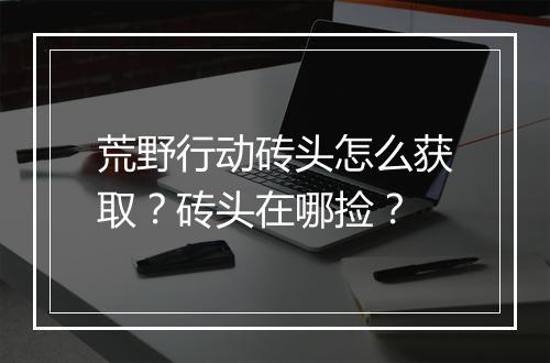 荒野行动砖头怎么获取?砖头在哪捡?