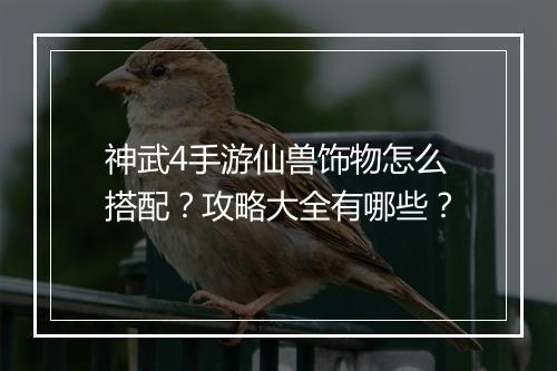 神武4手游仙兽饰物怎么搭配？攻略大全有哪些？