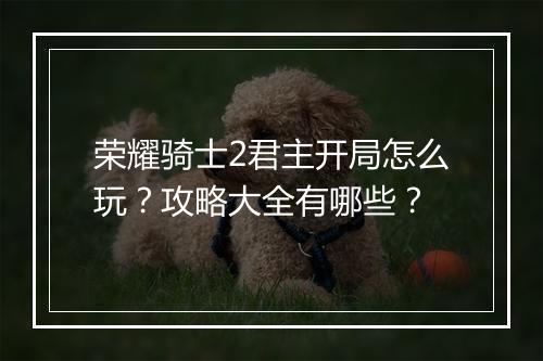 荣耀骑士2君主开局怎么玩？攻略大全有哪些？