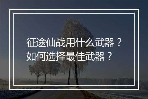 征途仙战用什么武器？如何选择最佳武器？