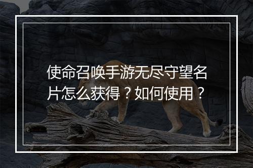 使命召唤手游无尽守望名片怎么获得？如何使用？