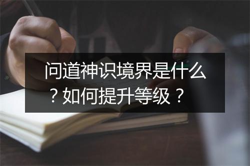 问道神识境界是什么？如何提升等级？