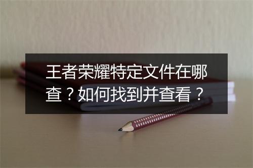 王者荣耀特定文件在哪查？如何找到并查看？