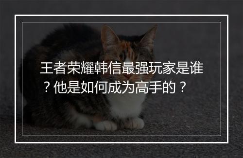 王者荣耀韩信最强玩家是谁？他是如何成为高手的？