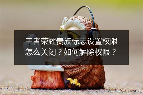 王者荣耀贵族标志设置权限怎么关闭？如何解除权限？