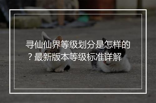 寻仙仙界等级划分是怎样的？最新版本等级标准详解