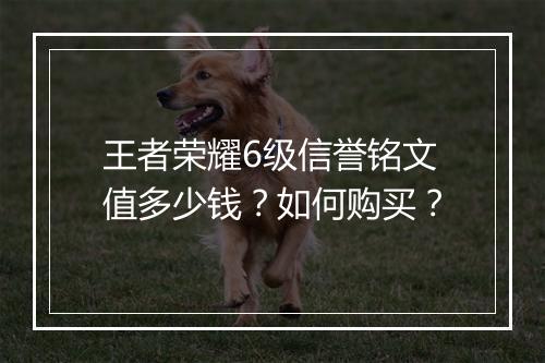王者荣耀6级信誉铭文值多少钱？如何购买？