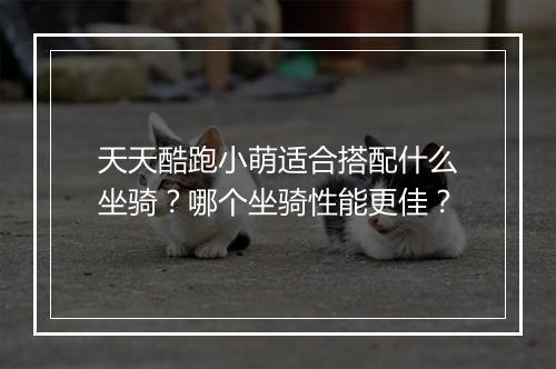 天天酷跑小萌适合搭配什么坐骑？哪个坐骑性能更佳？