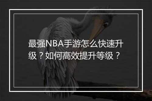 最强NBA手游怎么快速升级？如何高效提升等级？