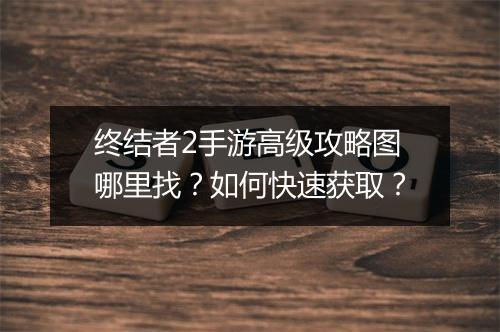 终结者2手游高级攻略图哪里找？如何快速获取？