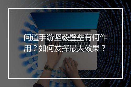 问道手游坚毅壁垒有何作用？如何发挥最大效果？