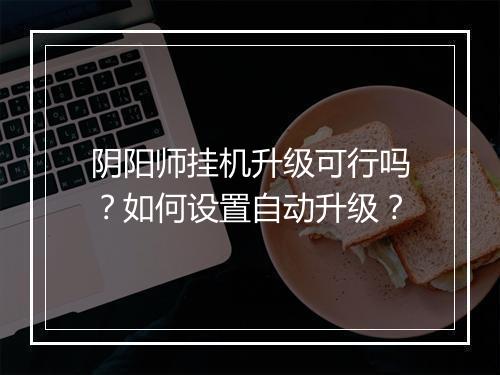 阴阳师挂机升级可行吗？如何设置自动升级？