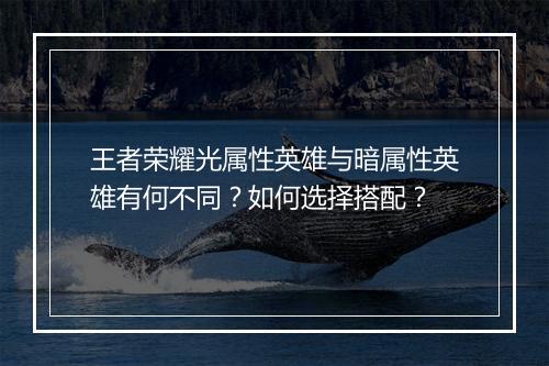 王者荣耀光属性英雄与暗属性英雄有何不同？如何选择搭配？