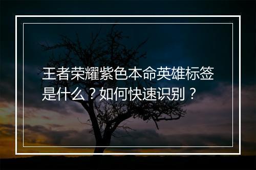 王者荣耀紫色本命英雄标签是什么？如何快速识别？