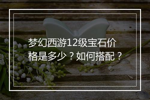 梦幻西游12级宝石价格是多少？如何搭配？