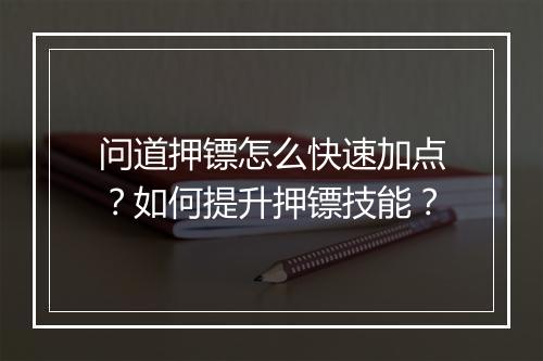 问道押镖怎么快速加点？如何提升押镖技能？